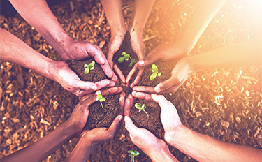 AG8����_AG8���޼��š�(�й���)�ٷ���վ