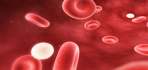 AG8����_AG8���޼��š�(�й���)�ٷ���վ