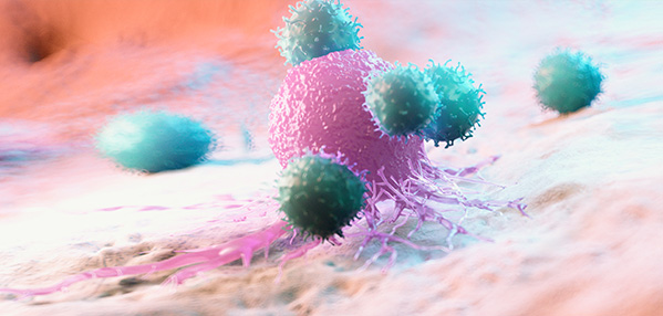 AG8����_AG8���޼��š�(�й���)�ٷ���վ