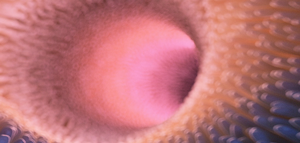 AG8����_AG8���޼��š�(�й���)�ٷ���վ