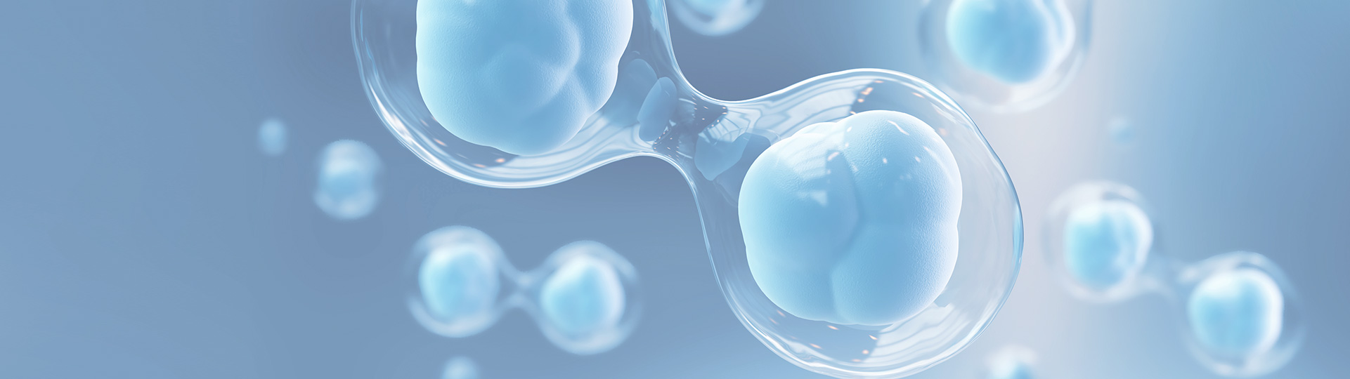 AG8����_AG8���޼��š�(�й���)�ٷ���վ