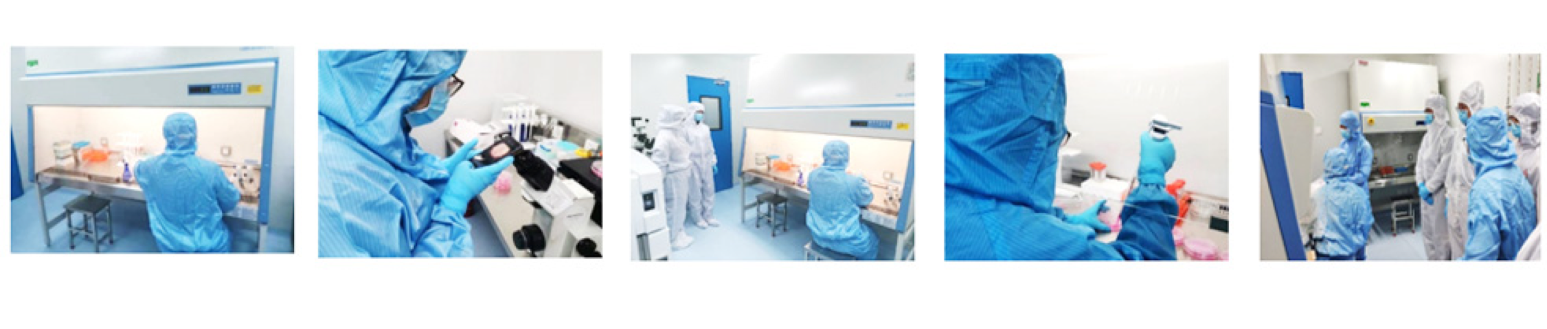 AG8����_AG8���޼��š�(�й���)�ٷ���վ