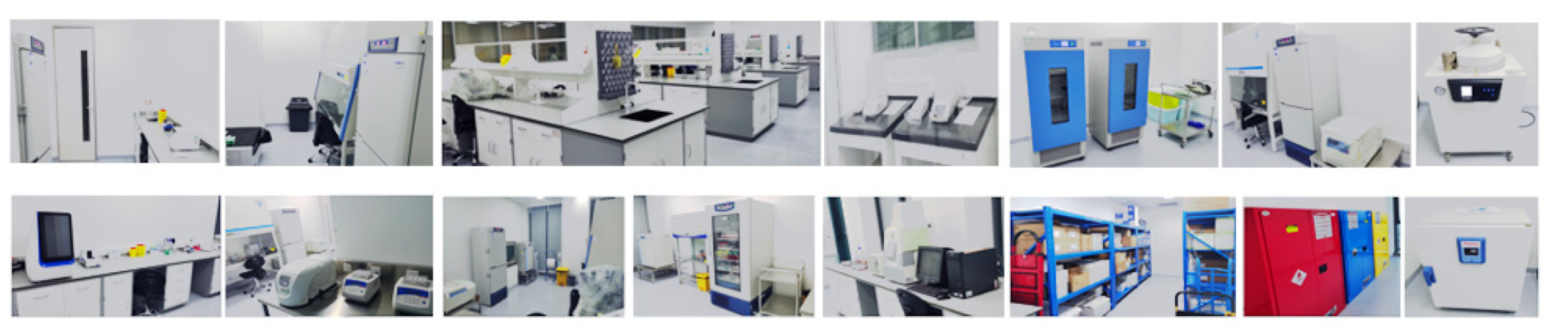 AG8����_AG8���޼��š�(�й���)�ٷ���վ