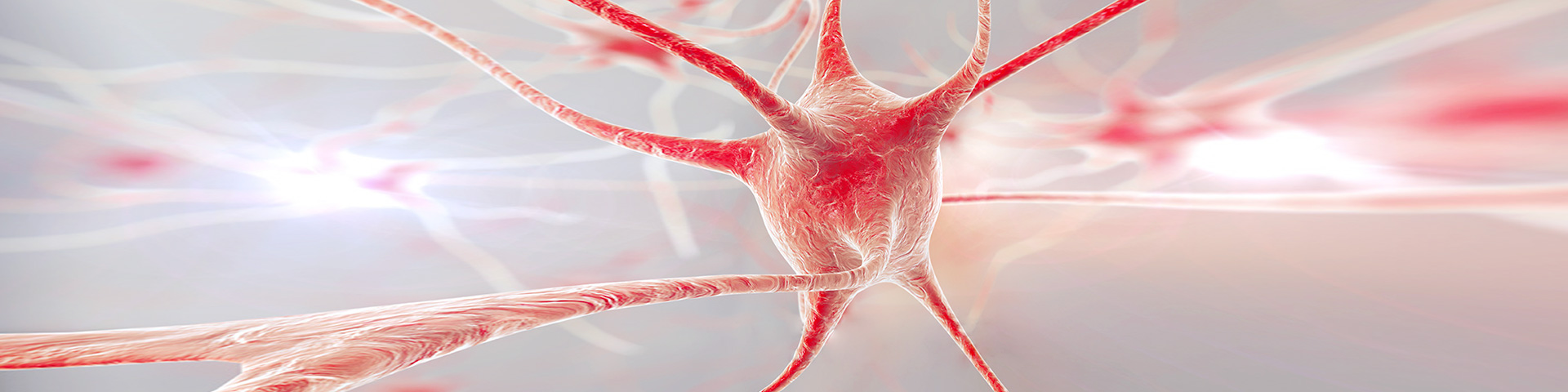 AG8����_AG8���޼��š�(�й���)�ٷ���վ